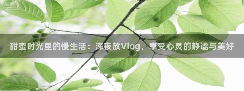 糖 心vlog网站：甜蜜时光里的慢生活：