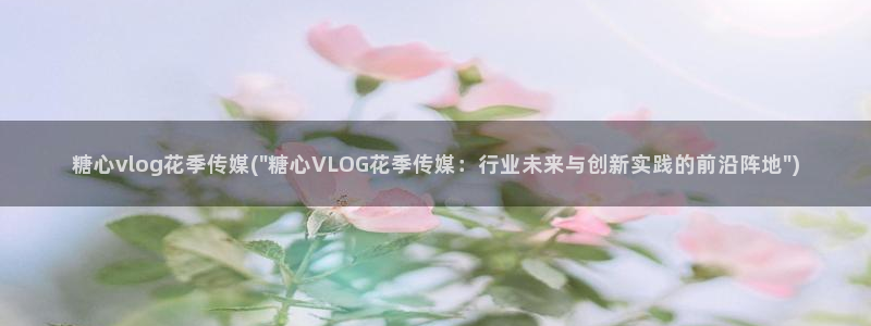 糖心vlog金善雅排名