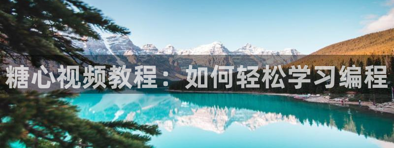 糖心vlog知乎：糖心视频教程：如何轻松学习编程