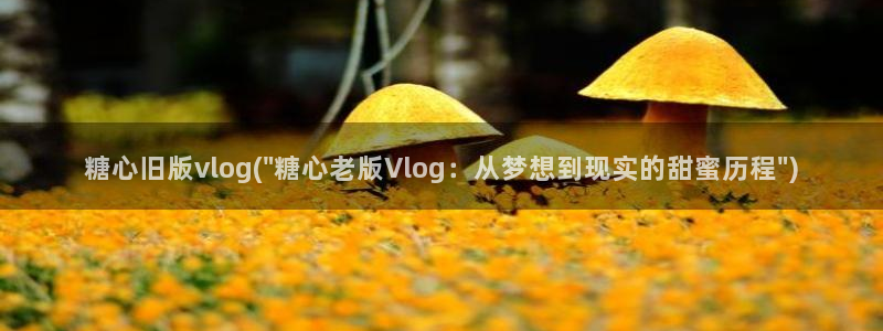 糖心vlog魔仙：糖心旧版vlog(\