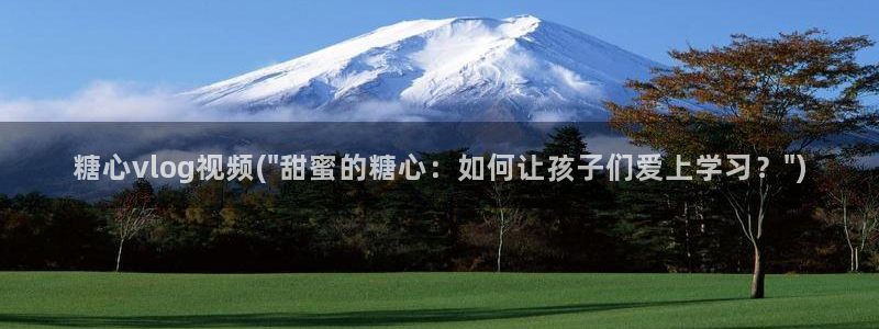 糖心vlog 姐姐：糖心vlog视频(\