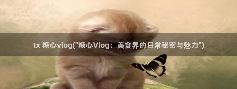 糖心vlog缓存：tx 糖心vlog(\