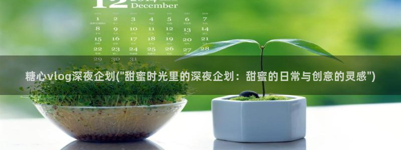 糖心糖心vlog：糖心vlog深夜企划(\