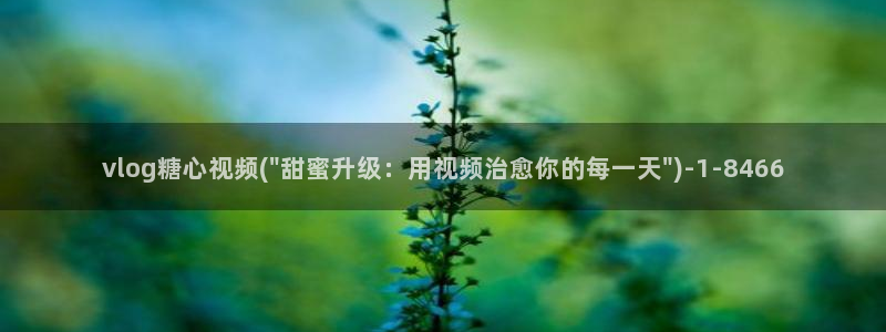 类似于糖心vlog：vlog糖心视频(\