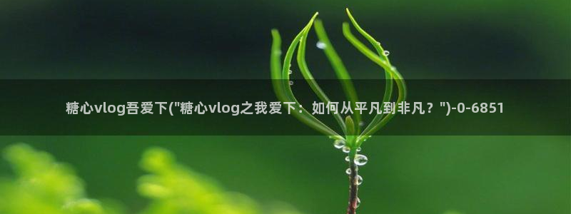 糖心vlog日本达人：糖心vlog吾爱下(\
