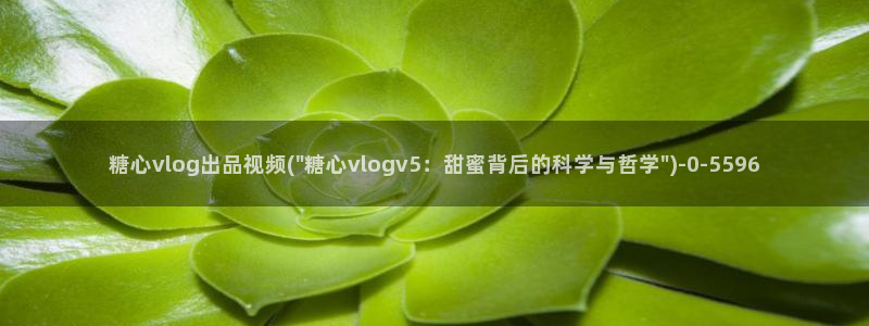 糖心vlog金善雅排名：糖心vlog出品