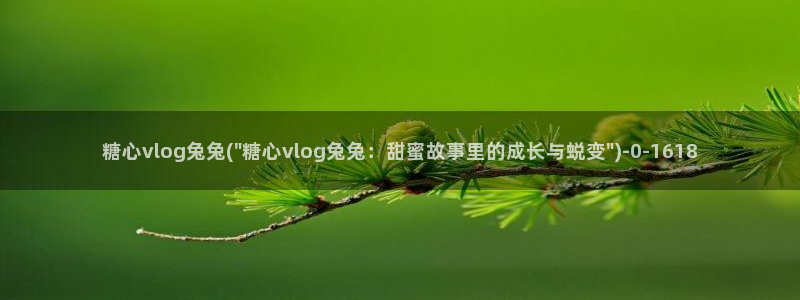 糖心vlog 司雨：糖心vlog兔兔(\