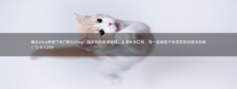 糖心vlog转圈：糖心vlog传媒下载(