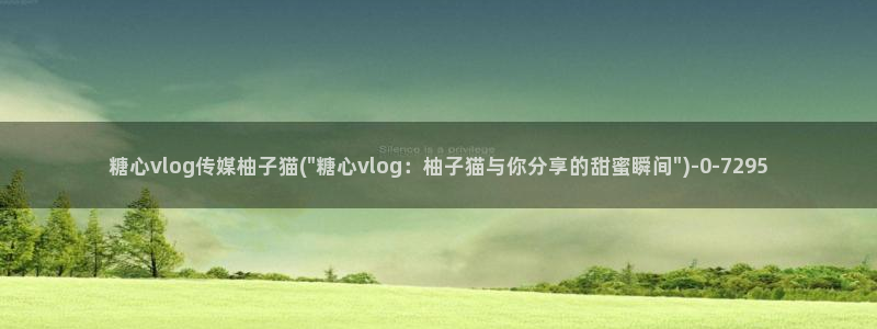 糖心vlog晚晚：糖心vlog传媒柚子猫(\