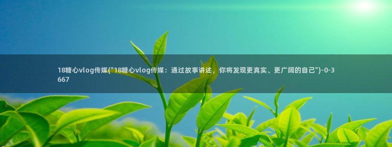 糖心vlog新人：18糖心vlog传媒(