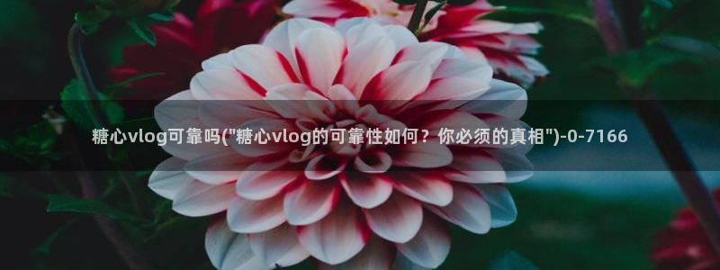 糖心vlog粉