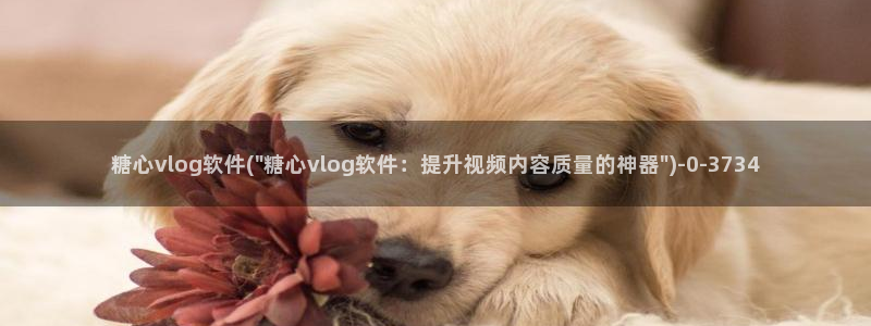 糖心vlog小晗在线