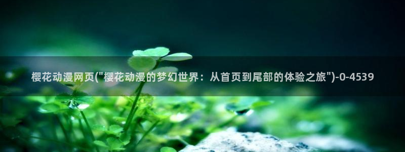 布丁动漫