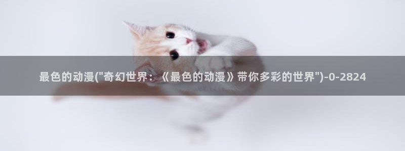 布米米动漫