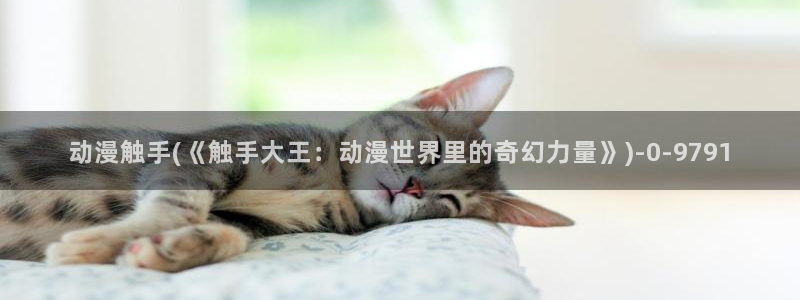 成人动漫网