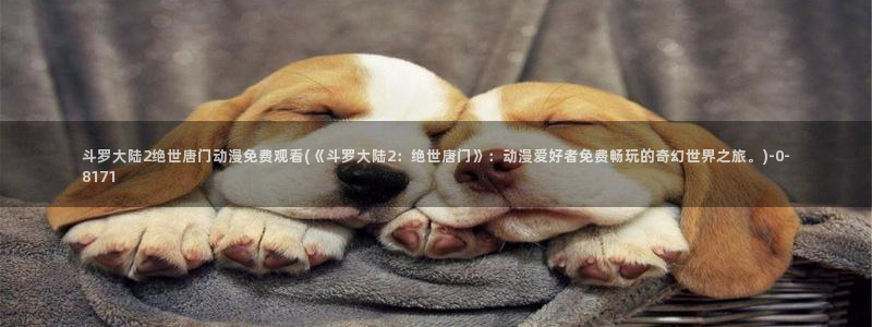 新世界动漫网